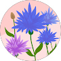 Check icon